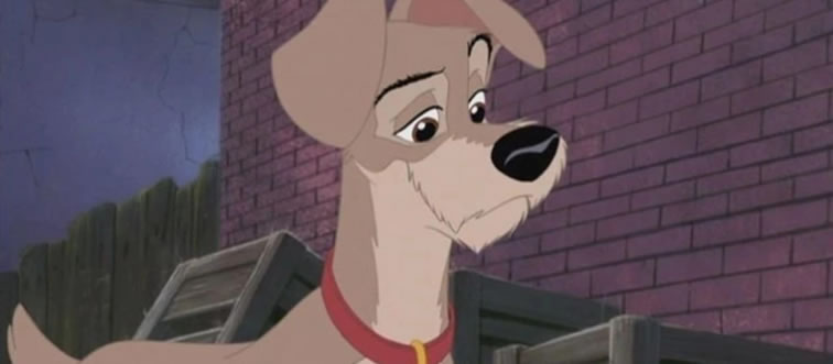 Which free-spirited pup are we looking at here?